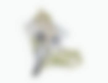 Pavots (preview)