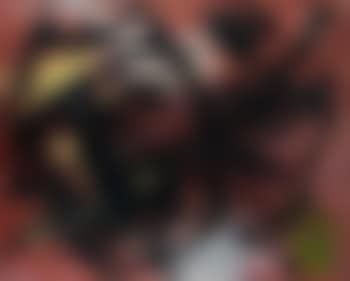 Composition (preview)