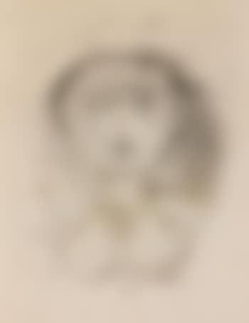 Portrait (preview)
