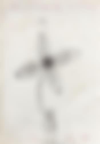 Fleur (preview)