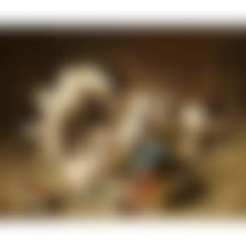 Budding artists (preview)