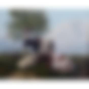 Landscape with cattle and sheep resting beneath a tree (preview)