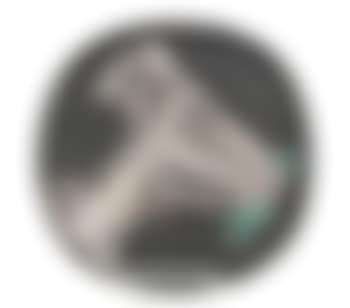 Goat's head in profile (preview)