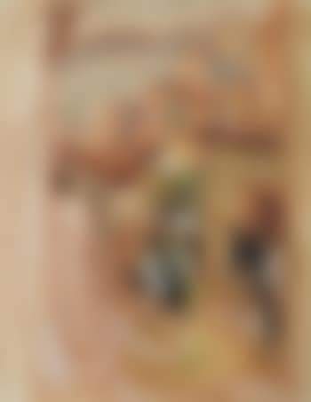 Donkeys, Anticoli (preview)