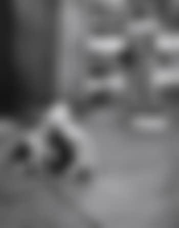 Untitled (Child with dog) (preview)