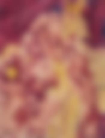 Flower study in red and yellow (preview)