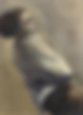 The Escapist (preview)