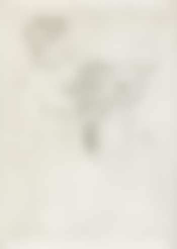Looking into the Hand Mirror (No. 2) (preview)