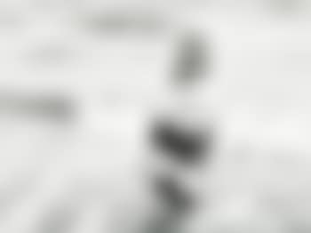 Photograph Of Marilyn Monroe (preview)