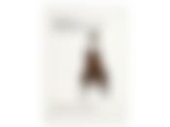 Signed Exhibition Poster (preview)