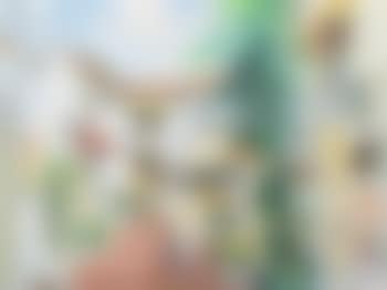 Palm Beach Shoppers (preview)
