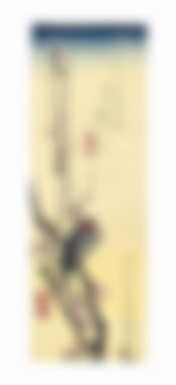 Red-cheeked bird and red plum blossoms, lower ground yellow. Canary and blue wisteria (preview)