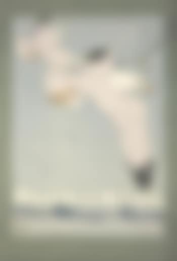 Terranova (preview)