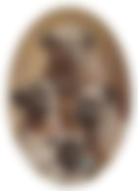 Family of mops (preview)