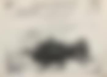Death of an Ant (preview)