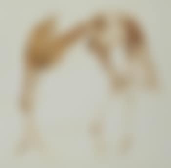 Prancing horse (preview)