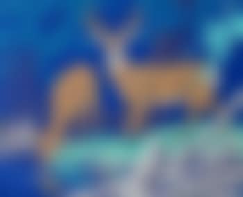 Two deer (preview)