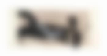 Il mostro (preview)