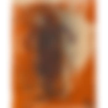 Hombre Obscuro (P. 218) (preview)