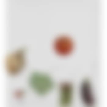 Vegetables (M. 66 a-f) (preview)