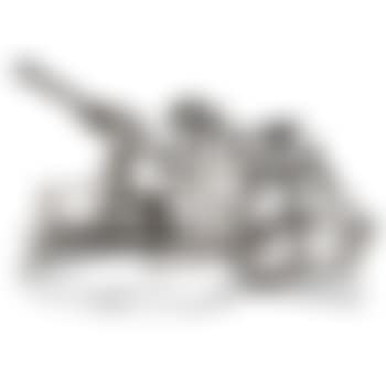 Moon Dog (G. 933) (preview)