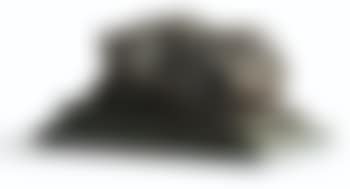 Dog (preview)