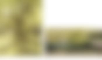 Sans Titre [Two Works] (preview)
