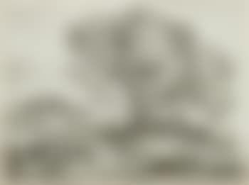Le chevrier (preview)