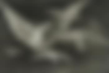 Modo de volar (preview)