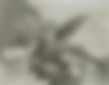 Gatesca pantomina (preview)