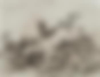 Se defiende bien (preview)