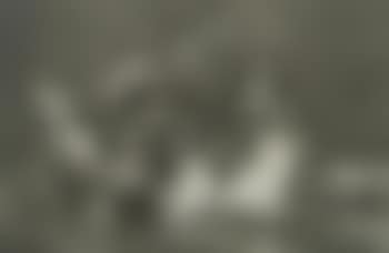 Disparate Demenino (preview)