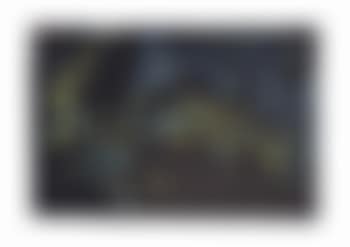La Paon (preview)