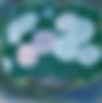 Guelder Rose (preview)