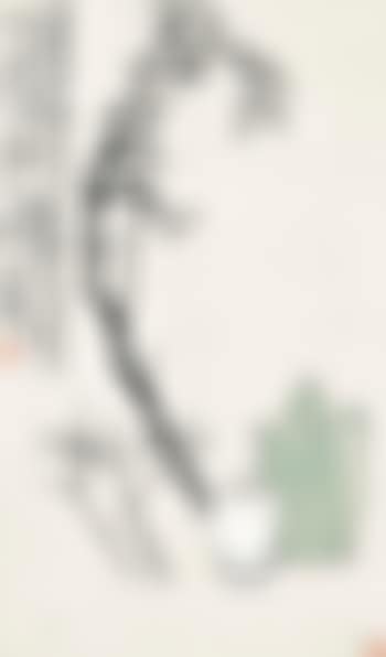 Plum Blossoms and Teapot (preview)