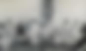 Wish for Longevity (Diptych) (preview)
