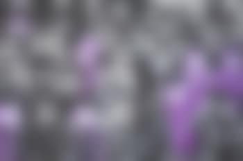 Collective Picture (preview)