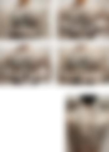 Chinese Shanshui Tattoo (Set of Five) (preview)