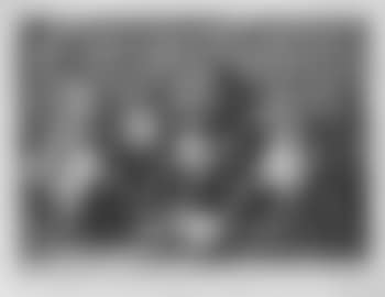 Tal para qual (preview)