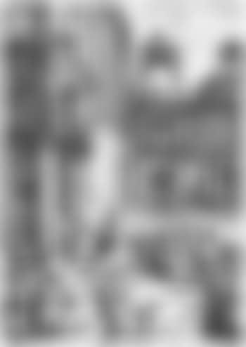 Ein Nixen-Ornament (preview)
