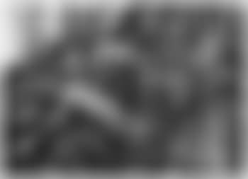 Die hll. Rochus und Nikolaus Tolentino und Nikolaus von Bari rufen die Hilfe der Jungfrau (preview)