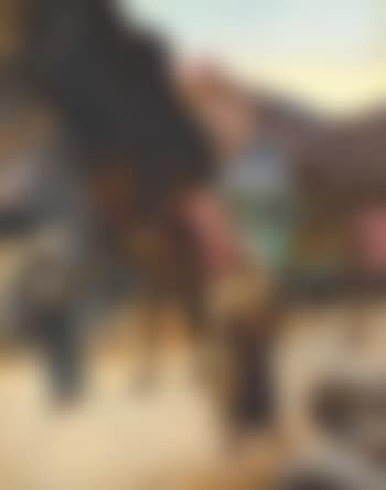 The Palanquin (preview)