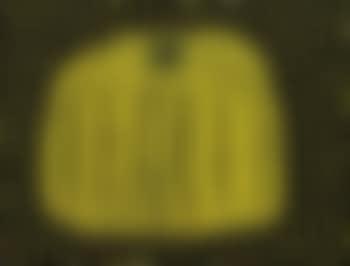 Pumpkin (preview)