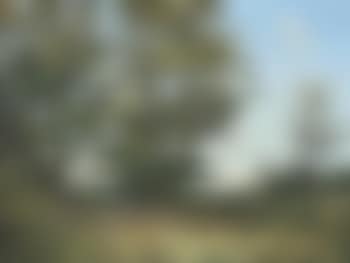 Walking in a wooded landscape (preview)