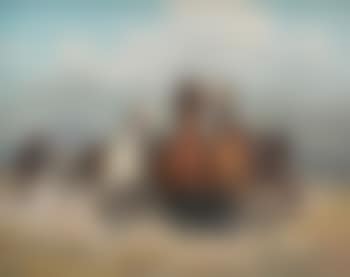 Herd of Wild Horses Charging (preview)