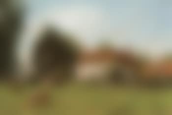 Landschap met hoeve en vee - Paysage avec ferme et bétail (preview)