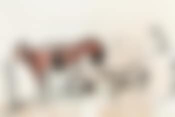 La traite (preview)