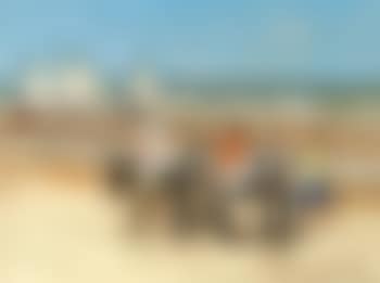 De Panne (preview)