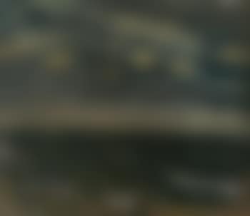Marine (preview)