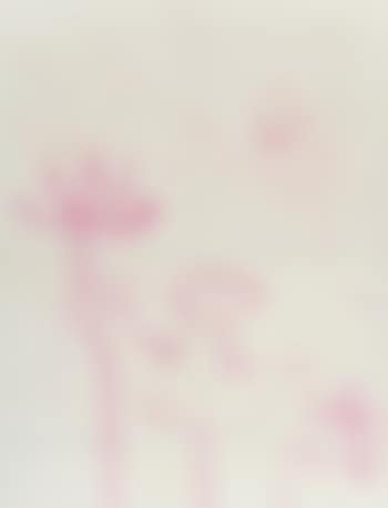 Figuur - Figure (preview)